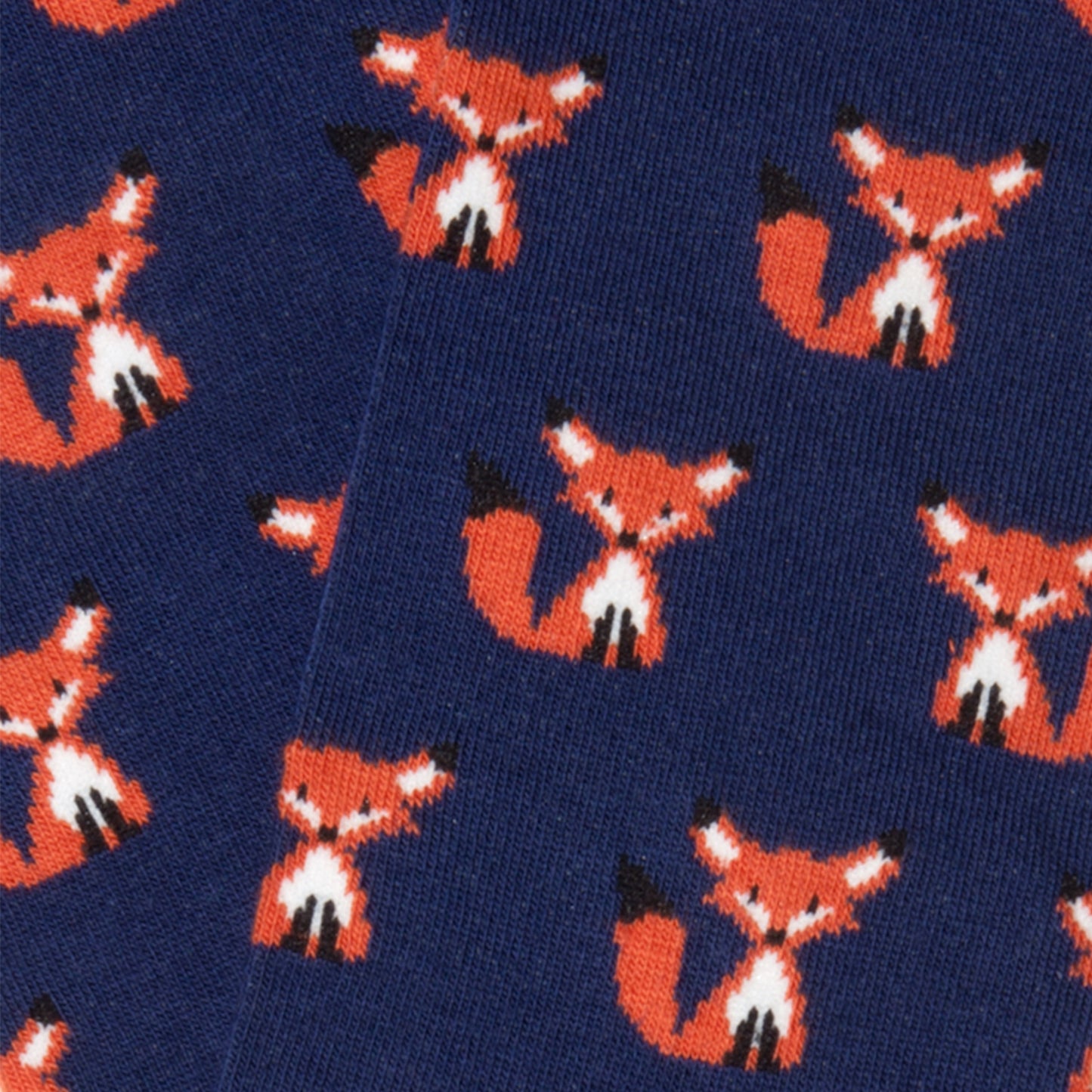 Ankle Fox - Blue (3)