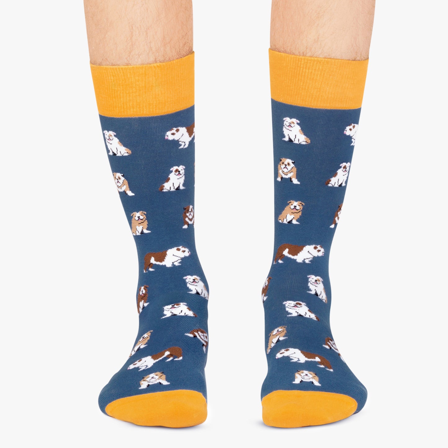 Bulldogs - Blue (1)