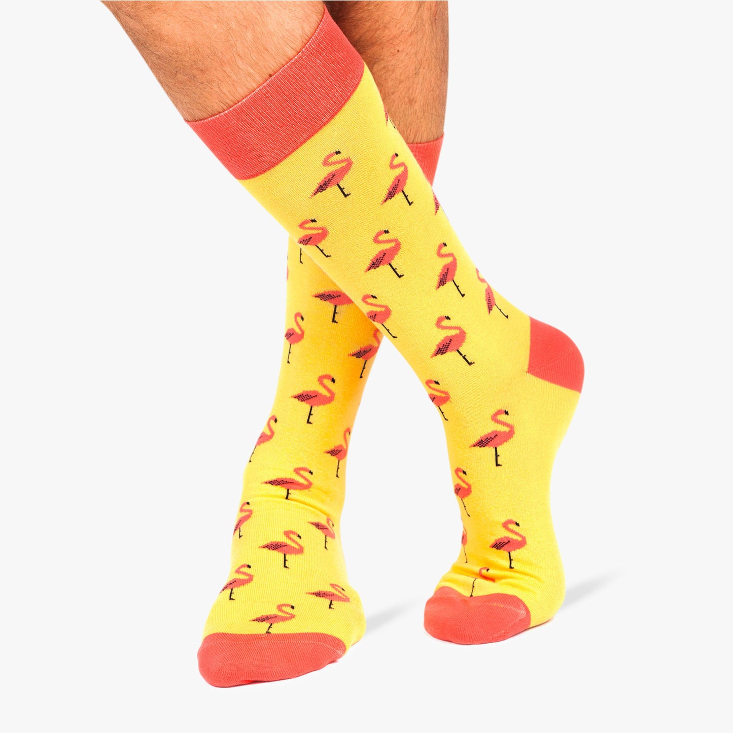 Flamingo - Yellow (1)
