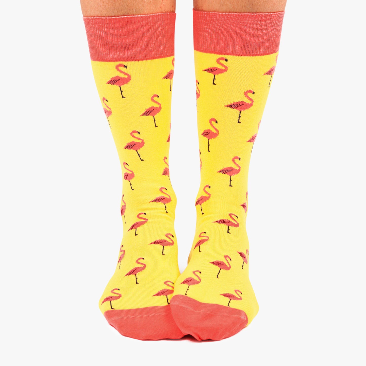 Flamingo - Yellow (2)