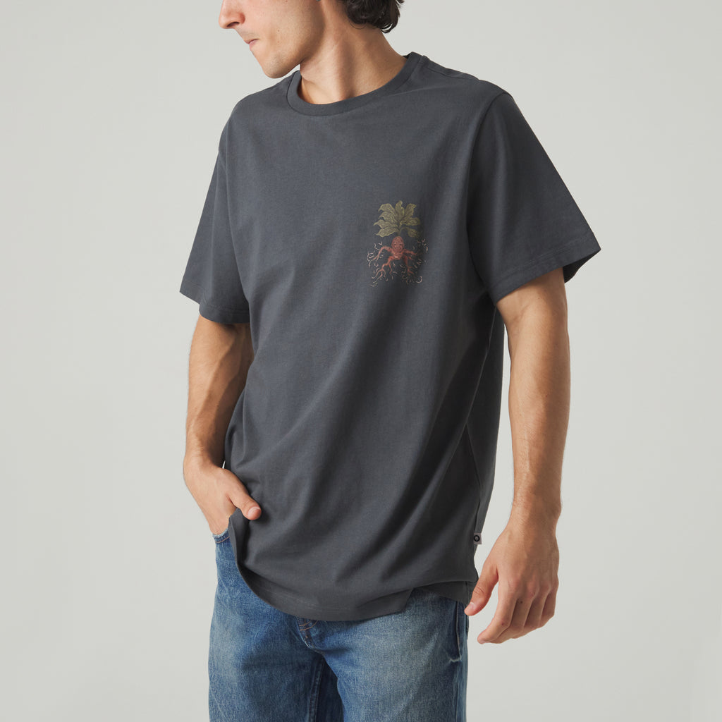 Harry Potter Herbology Tee - Dark Gray