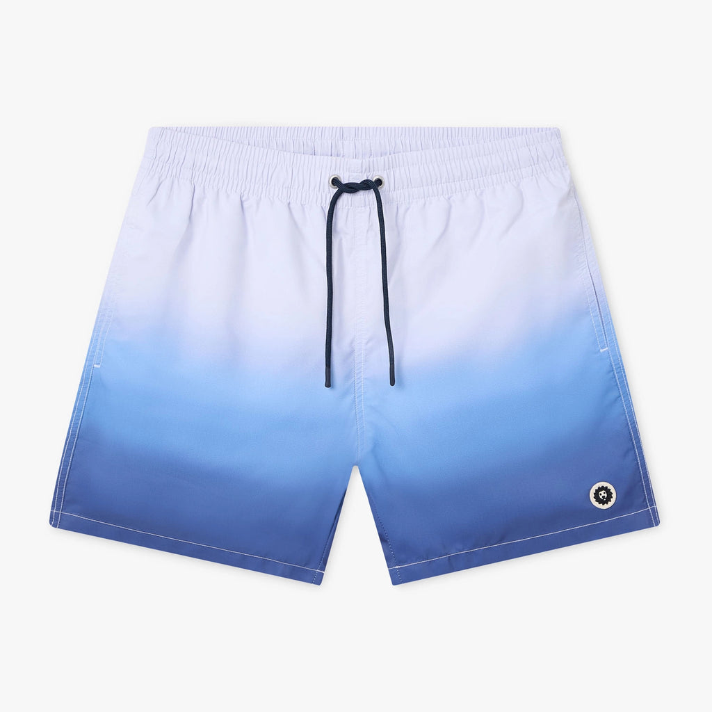 Horizon Swim Shorts - Blue