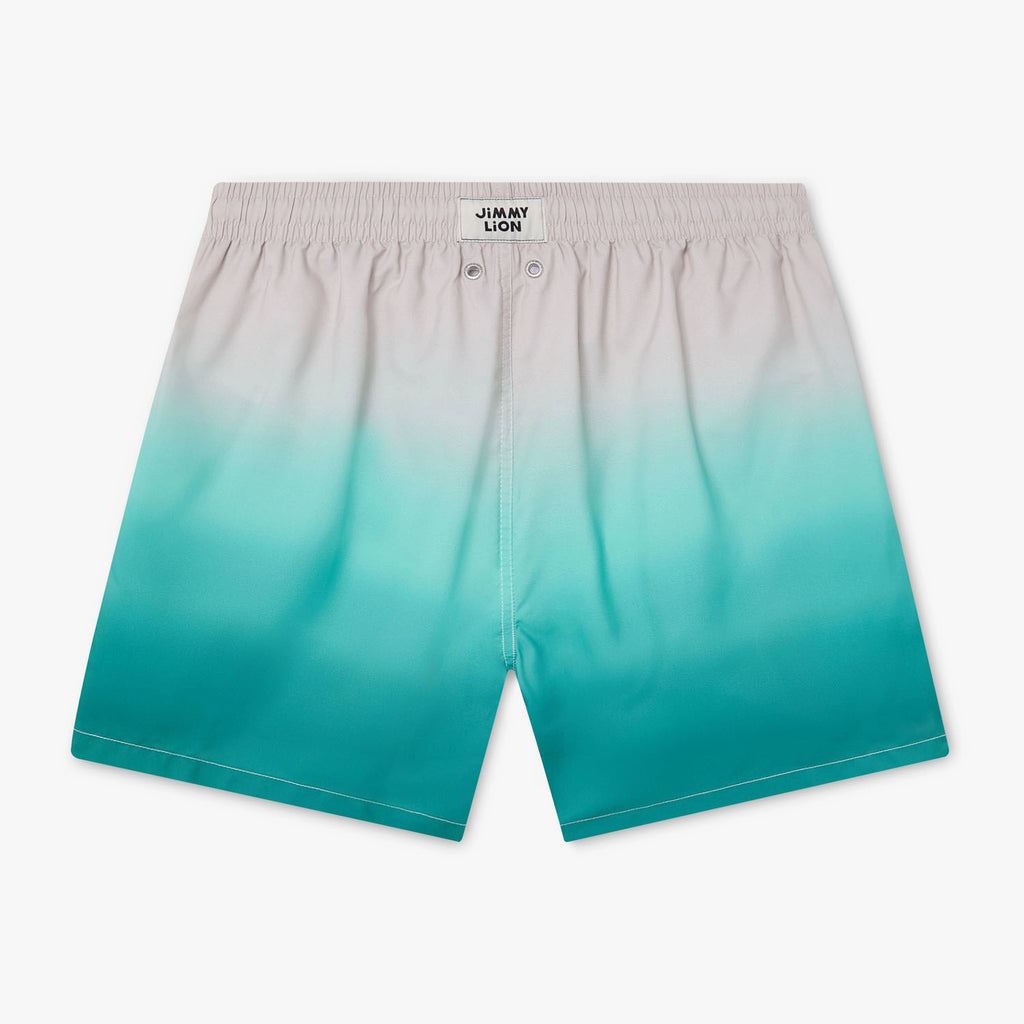Horizon Swim Shorts - Green