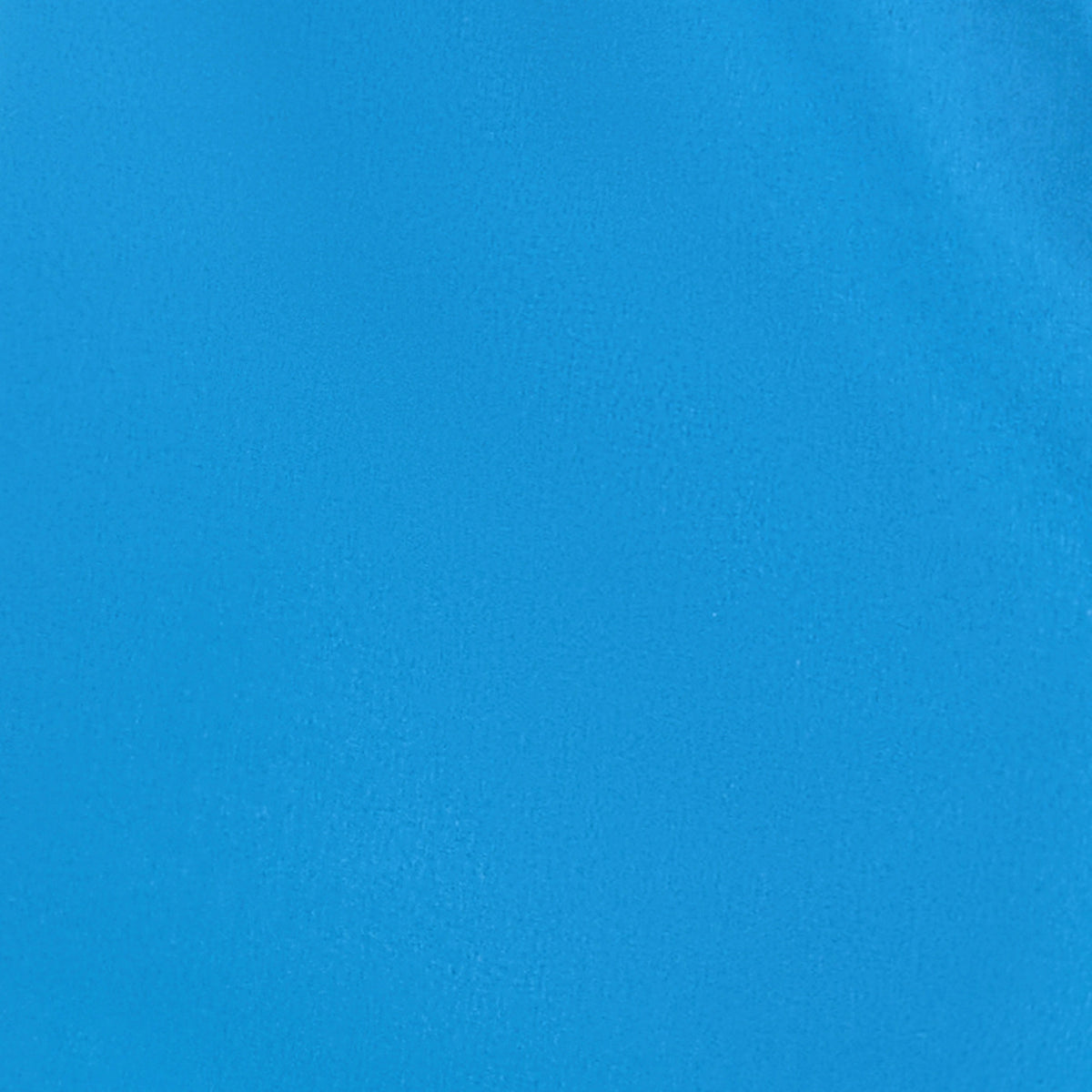 Lion Essentials Swim Shorts - Azure