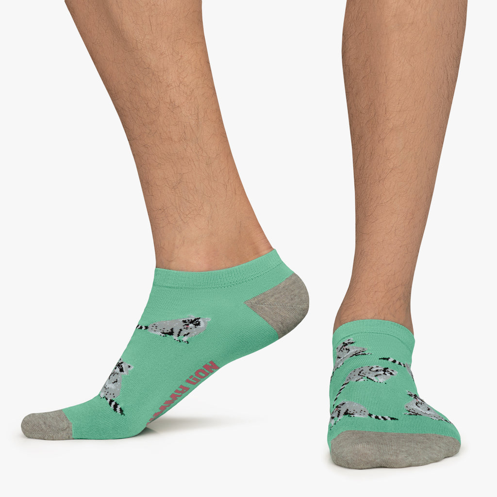 Ankle Racoons - Turquoise (1)