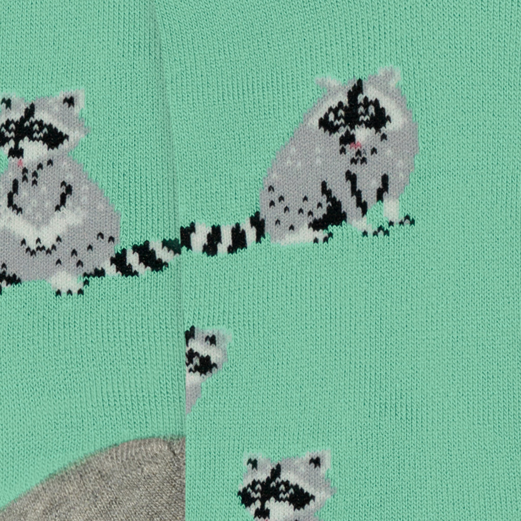Ankle Racoons - Turquoise (3)