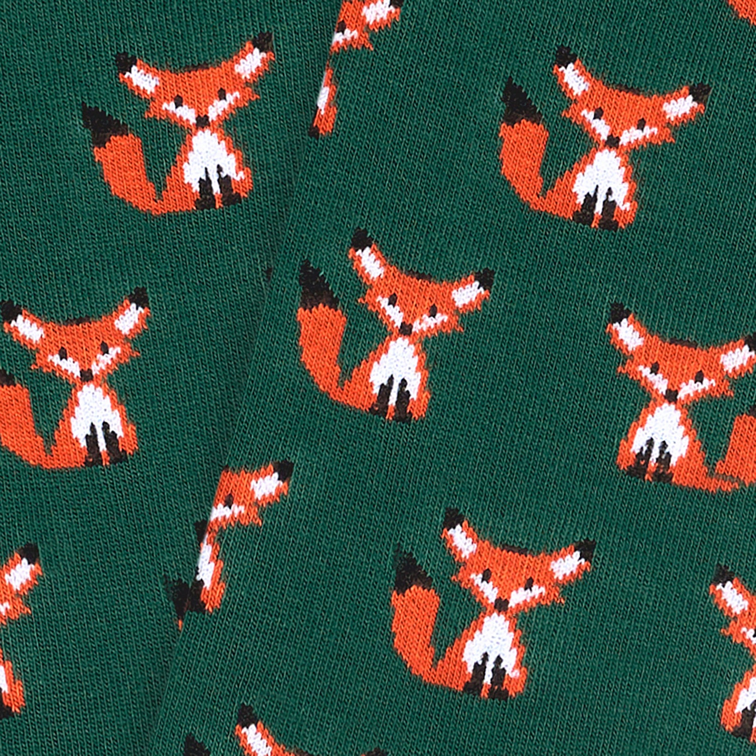Fox Family Pack (1)