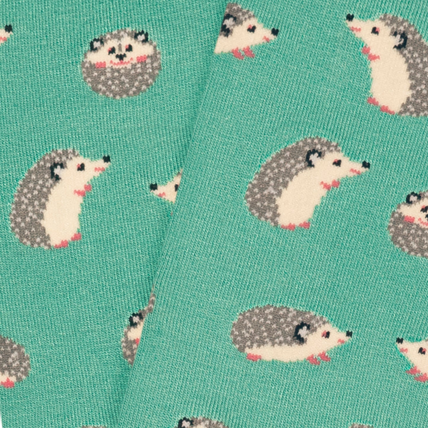 Hedgehog - Turquoise (3)