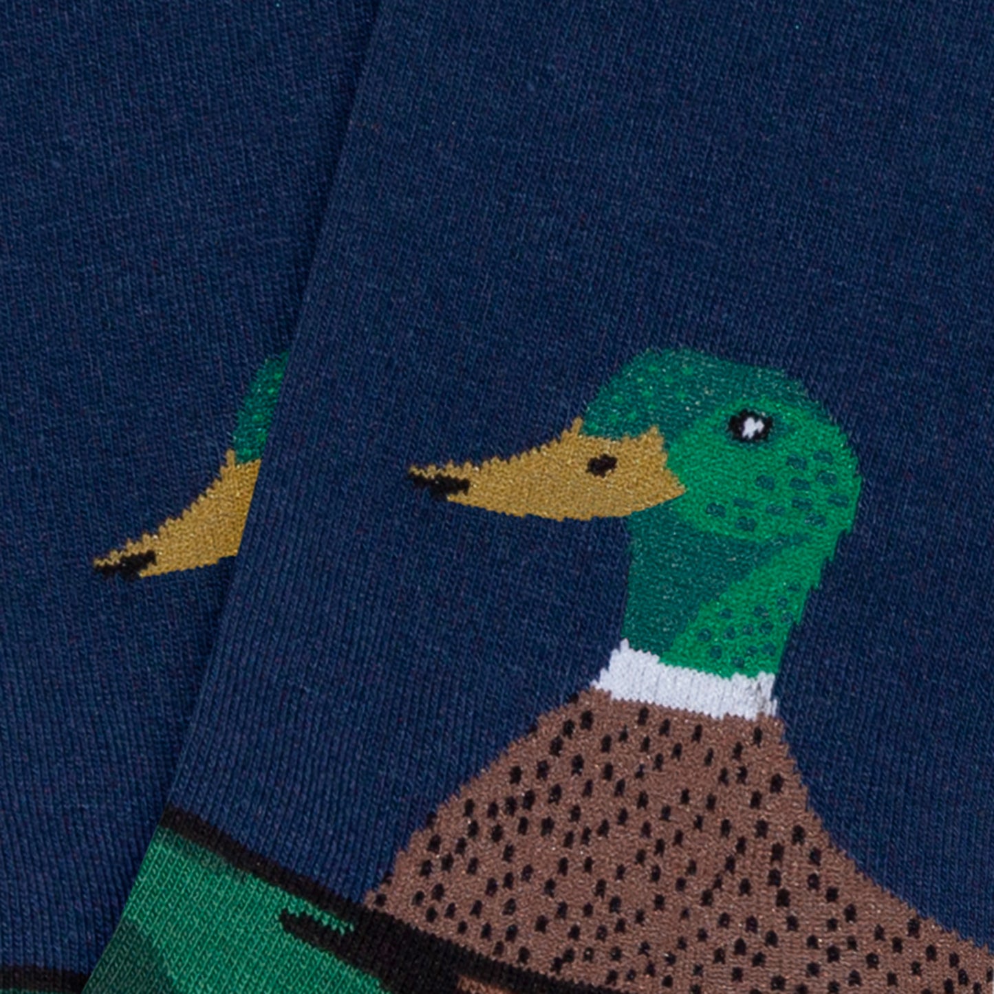 Duck Head - Dark Blue (3)