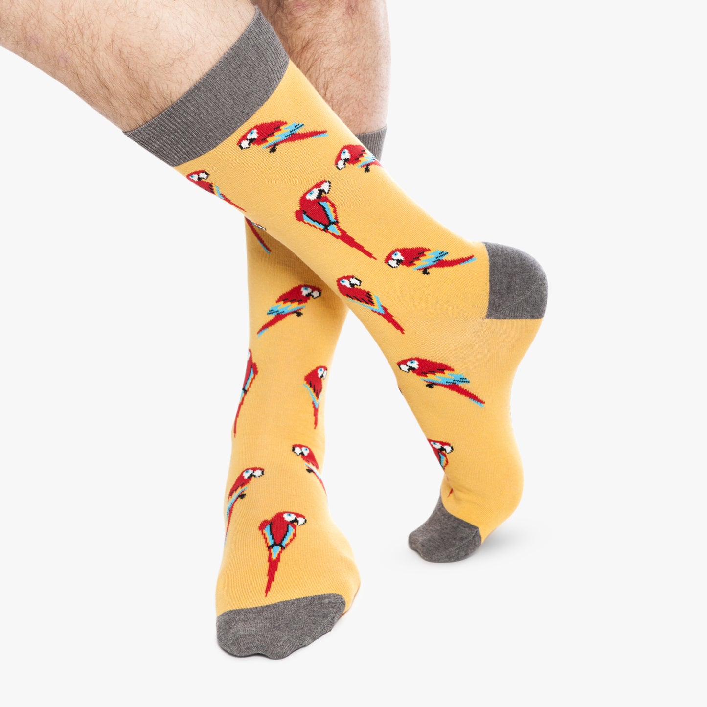 Parrots - Yellow (1)