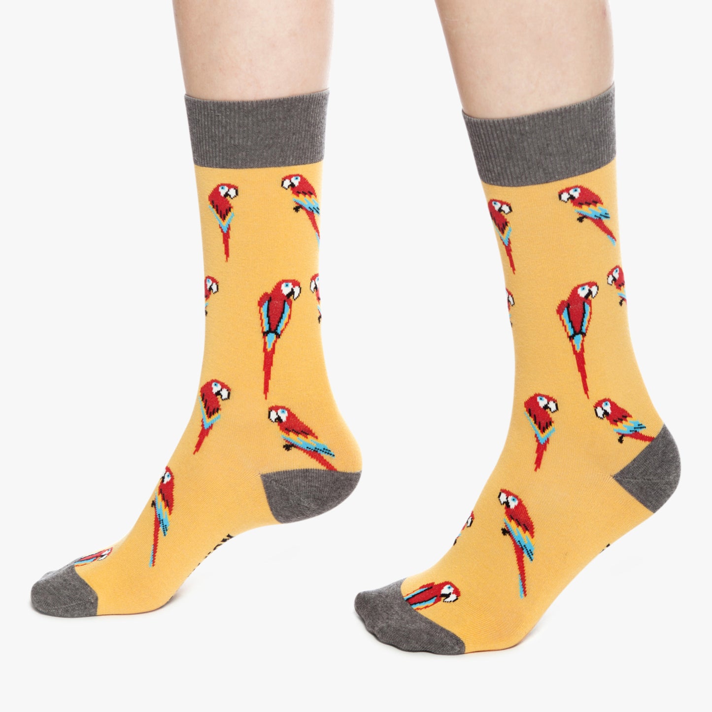 Parrots - Yellow (2)