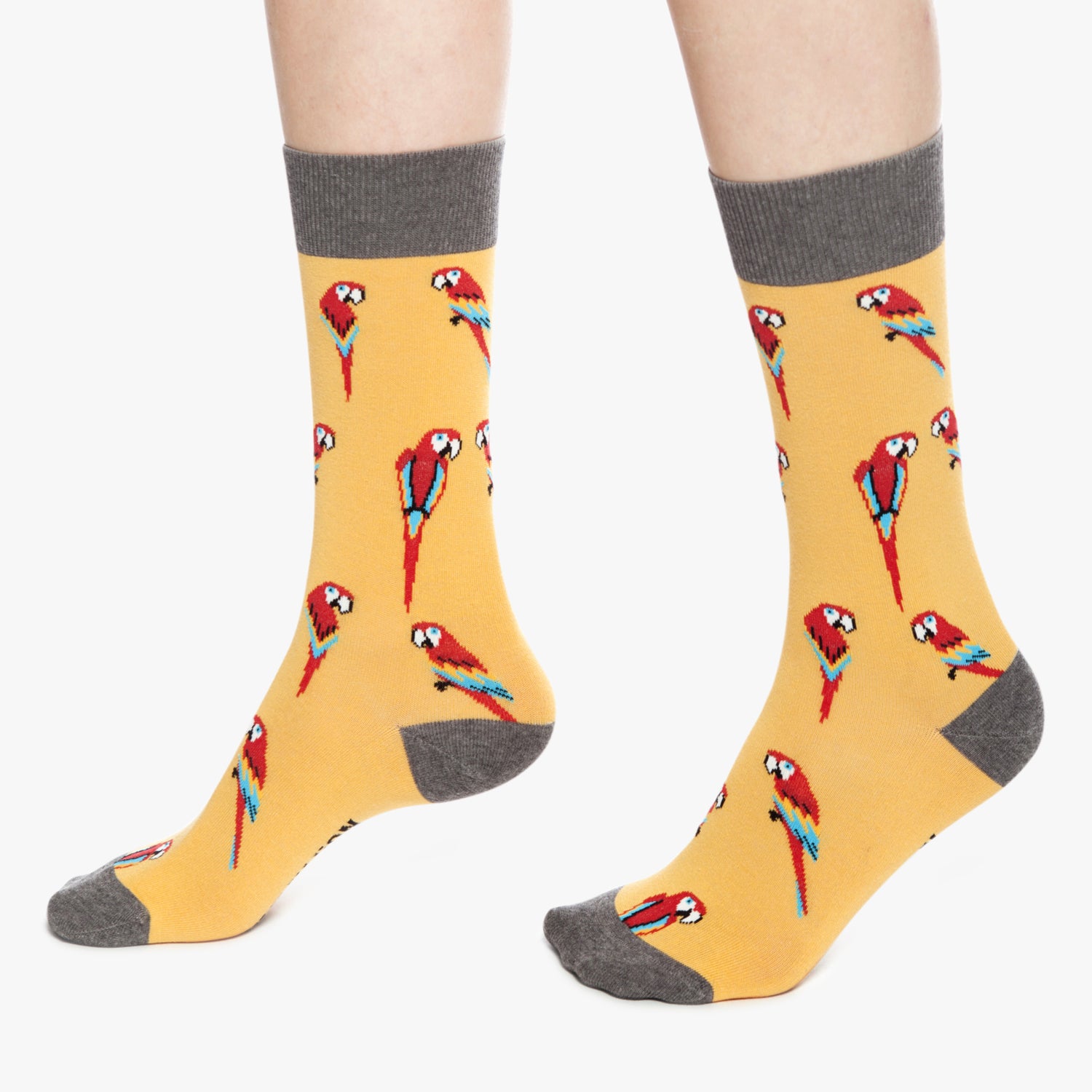 Parrots - Yellow (2)