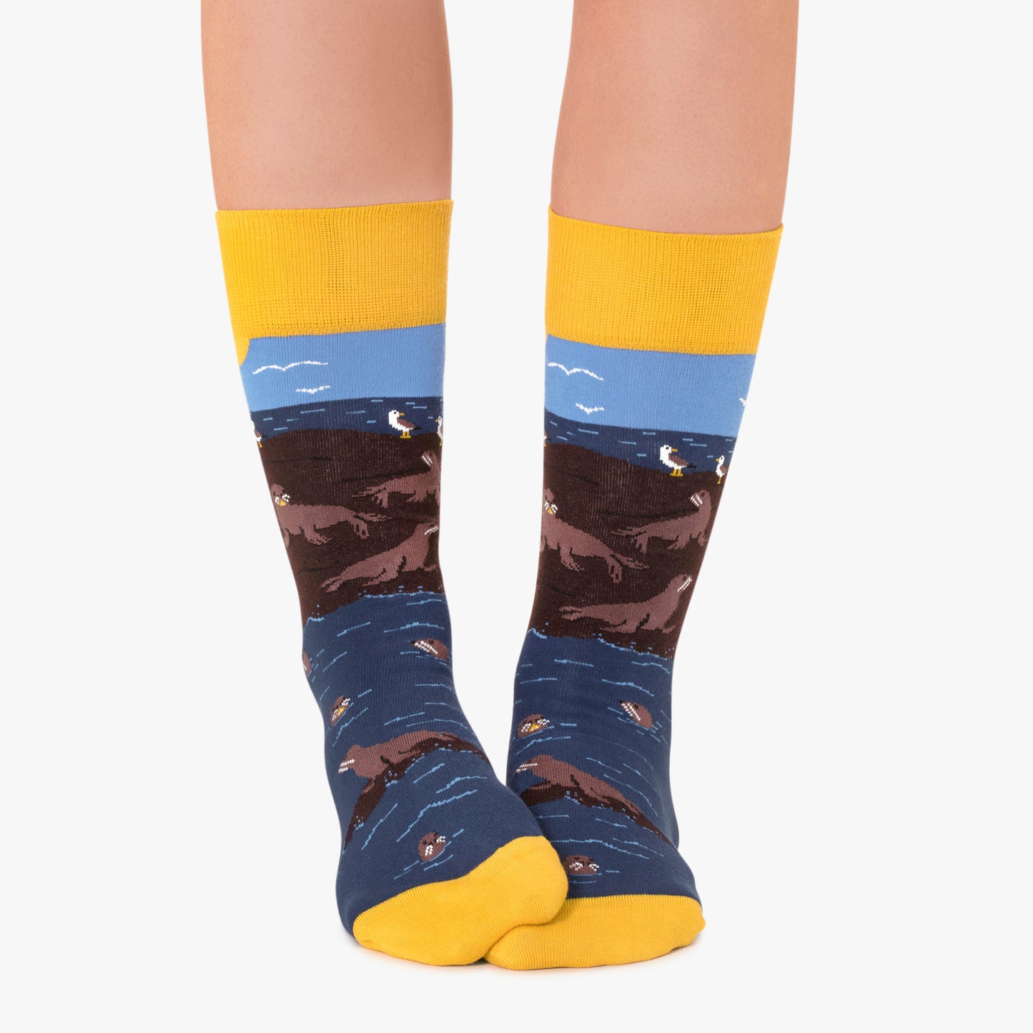 Seal Island - Dark Blue (2)